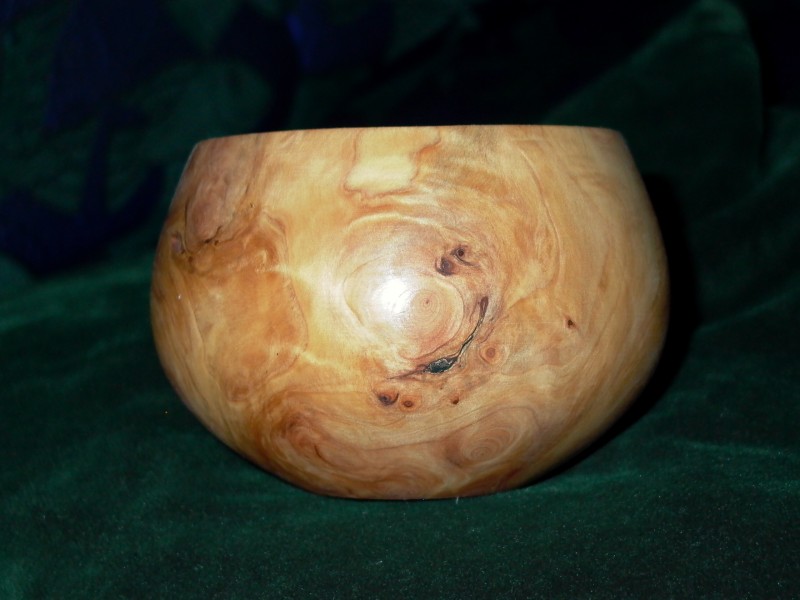 Schale, Tujawurzelstock