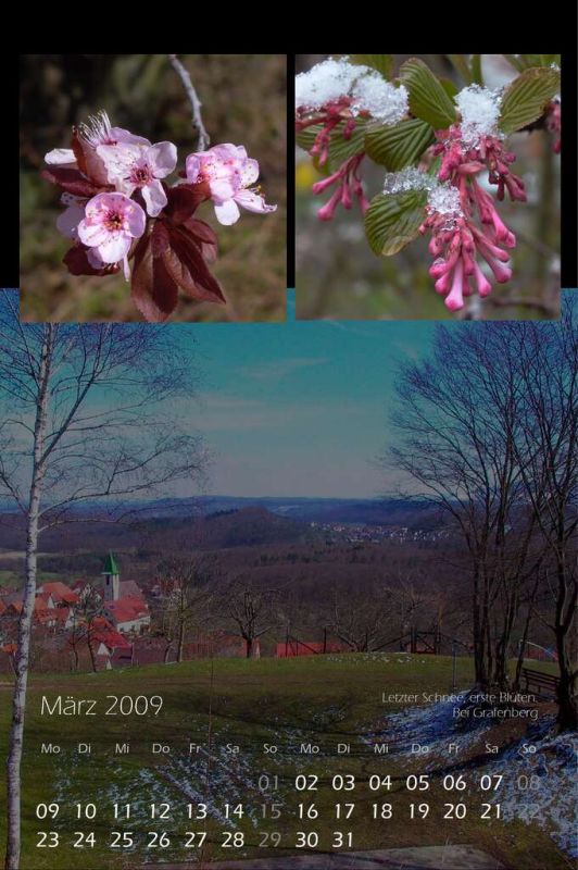 2009_03.jpg