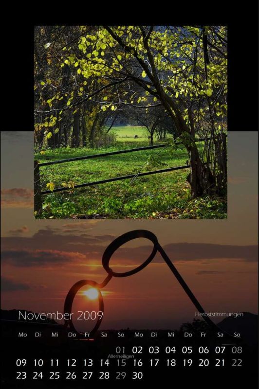 2009_11.jpg