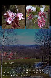 2009_03.jpg