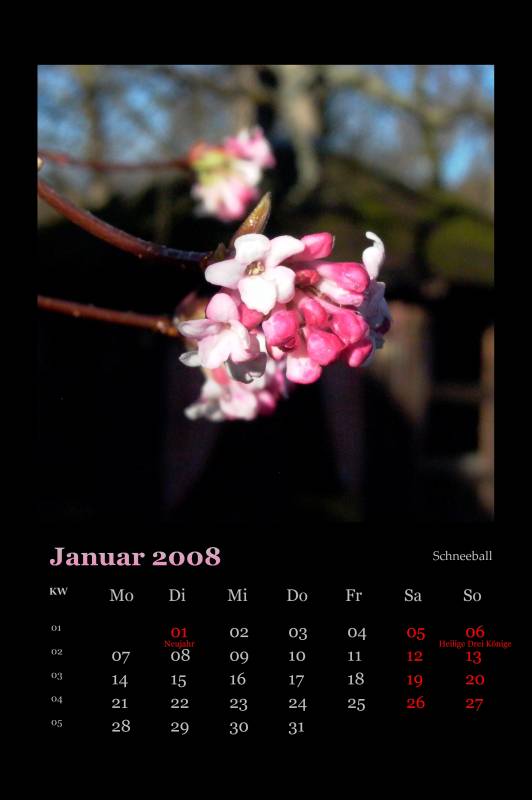 2008_01.jpg
