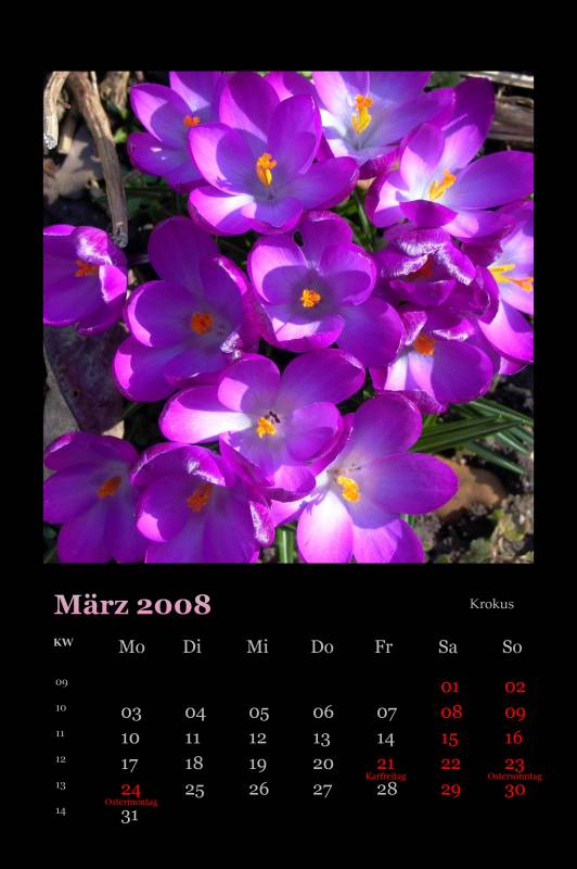 2008_03.jpg