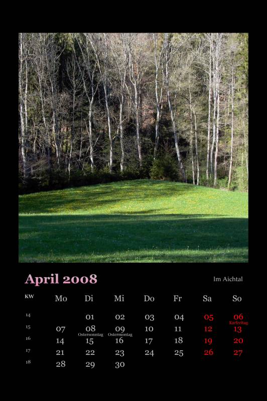 2008_04.jpg