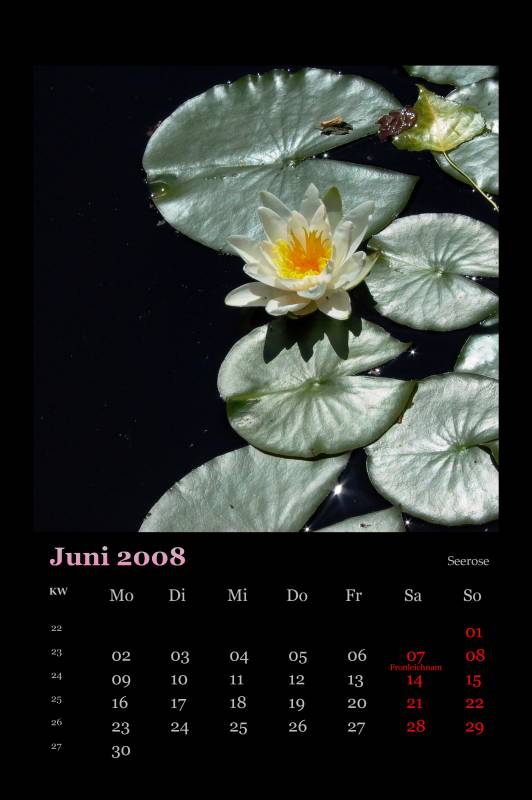 2008_06.jpg
