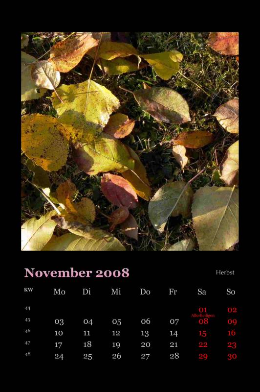 2008_11.jpg