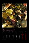 2008_11.jpg