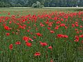 005_Radtour2008_L1000758.JPG
