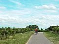 060_Radtour2008_L1000813.JPG