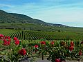 071_Radtour2008_L1000824.JPG