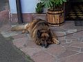 088_Radtour2008_L1000841.JPG