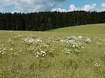 P1100261